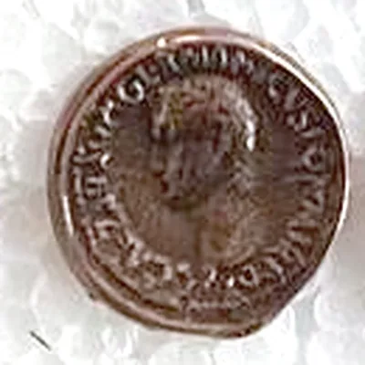 Modern replica of an as of Caligula (not a sestertius), the portrait: Bare head of Caligula facing left; AVG GERMANICVS and PON M TR POT can be read around it. Indicative photo of the replica on sale in the shop, bronze-coloured.