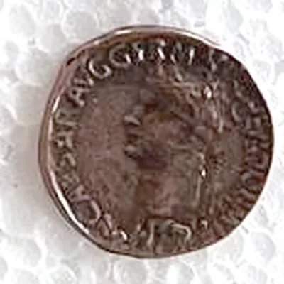 Modern replica of a sestertius of Caligula, the portrait: Laureate head of Caligula, facing left. Of the legend, C CAESAR AVG GERM… and …ANICVS PON M TR P… can be read. Indicative photo of the replica on sale in the shop, bronze-coloured.